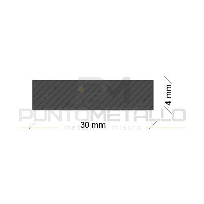 PAP304