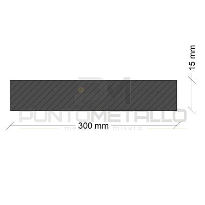 PAP30015